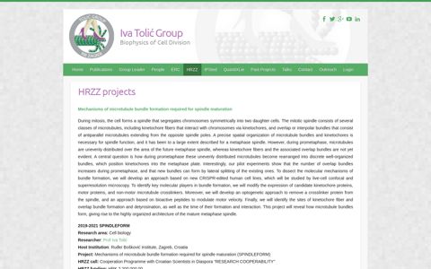 HRZZ projects | Iva Tolić Group