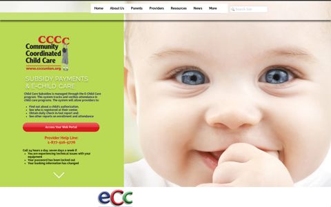 Subsidy Payments and E-Child Care | cccc
